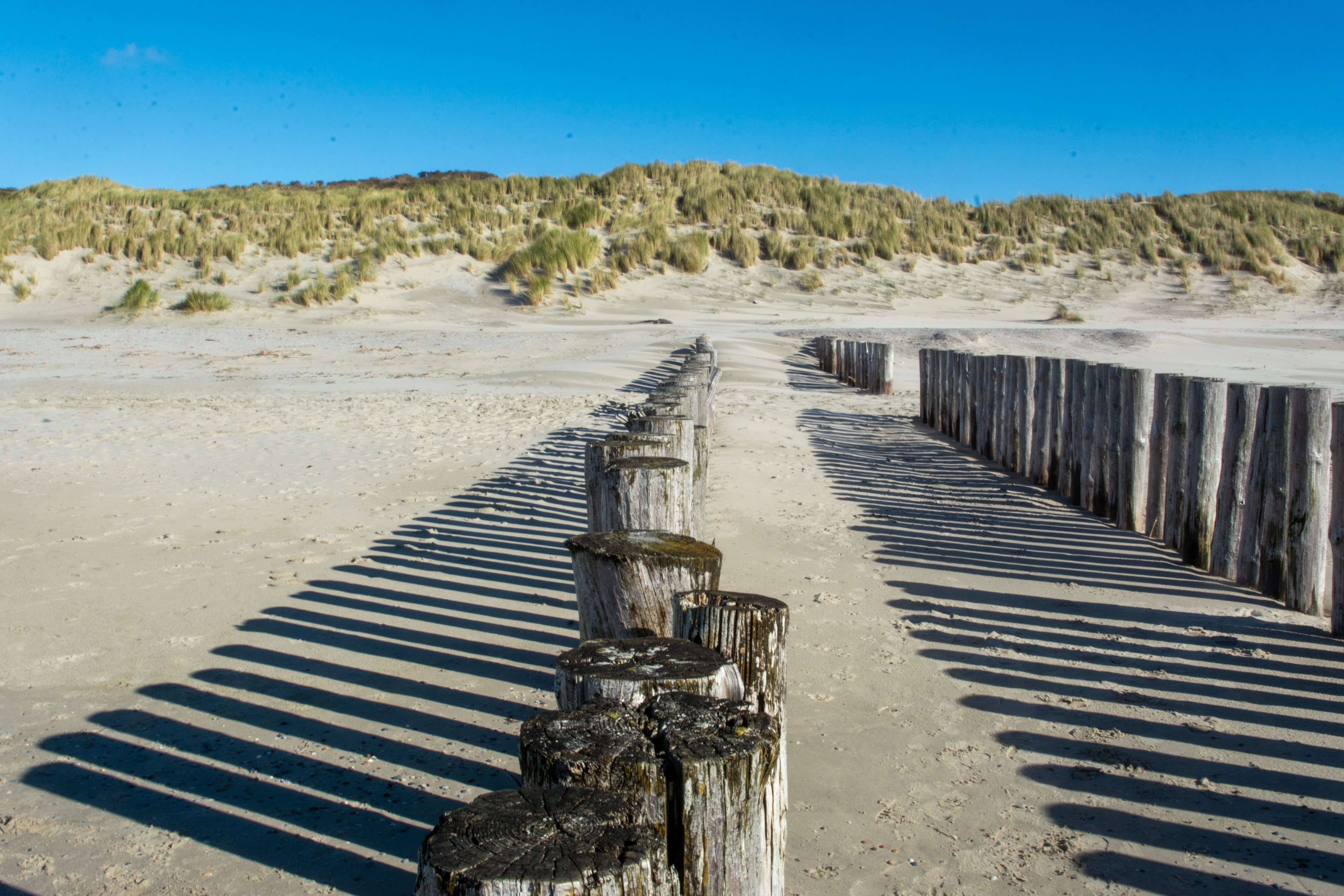 scenic-coastal-dunes-at-burgh-haamstede-beach-free-stock-photo