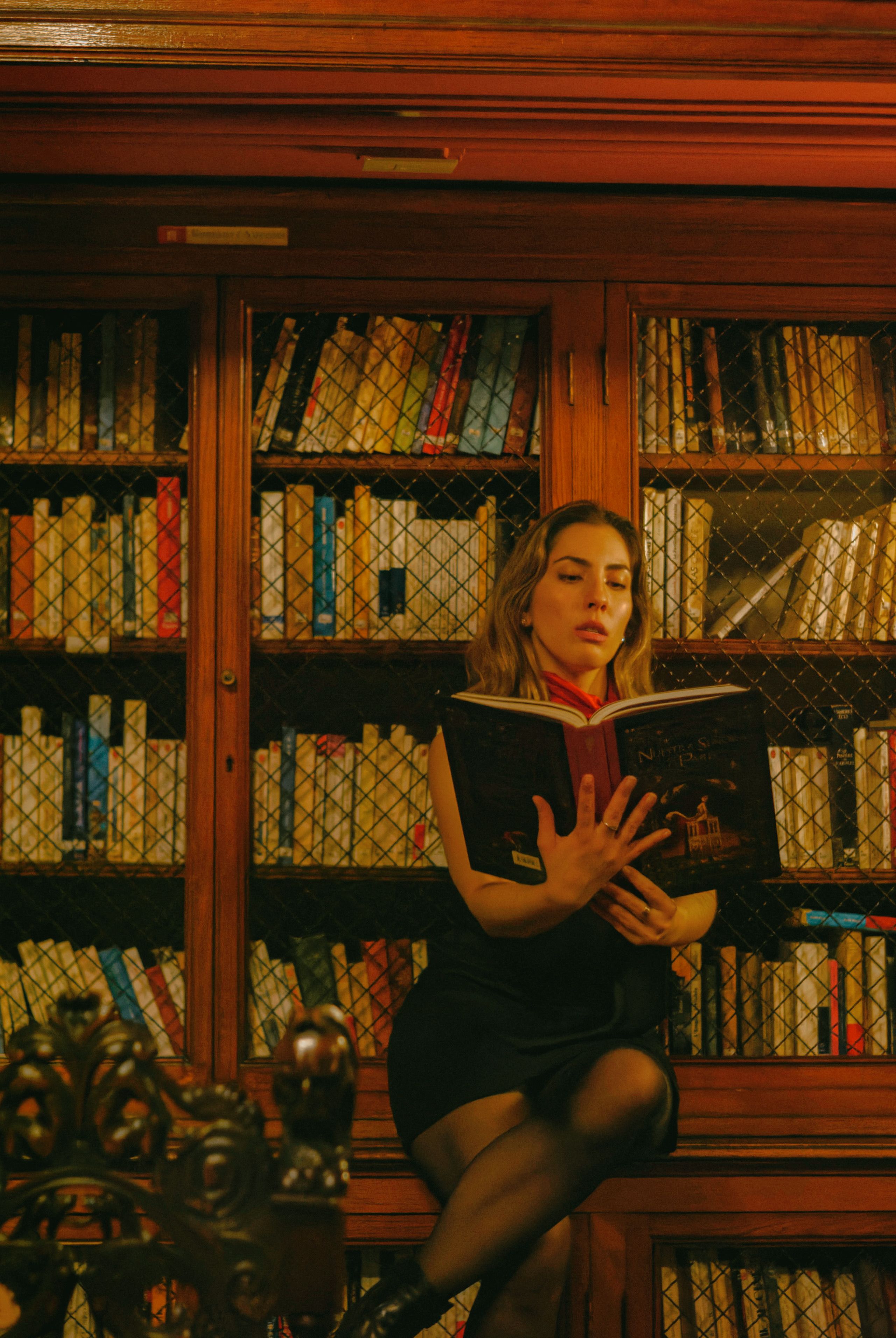 Perfect Library Photos, Download The BEST Free Perfect Library Stock ...