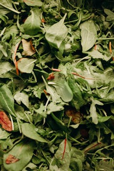 spinach leaves image