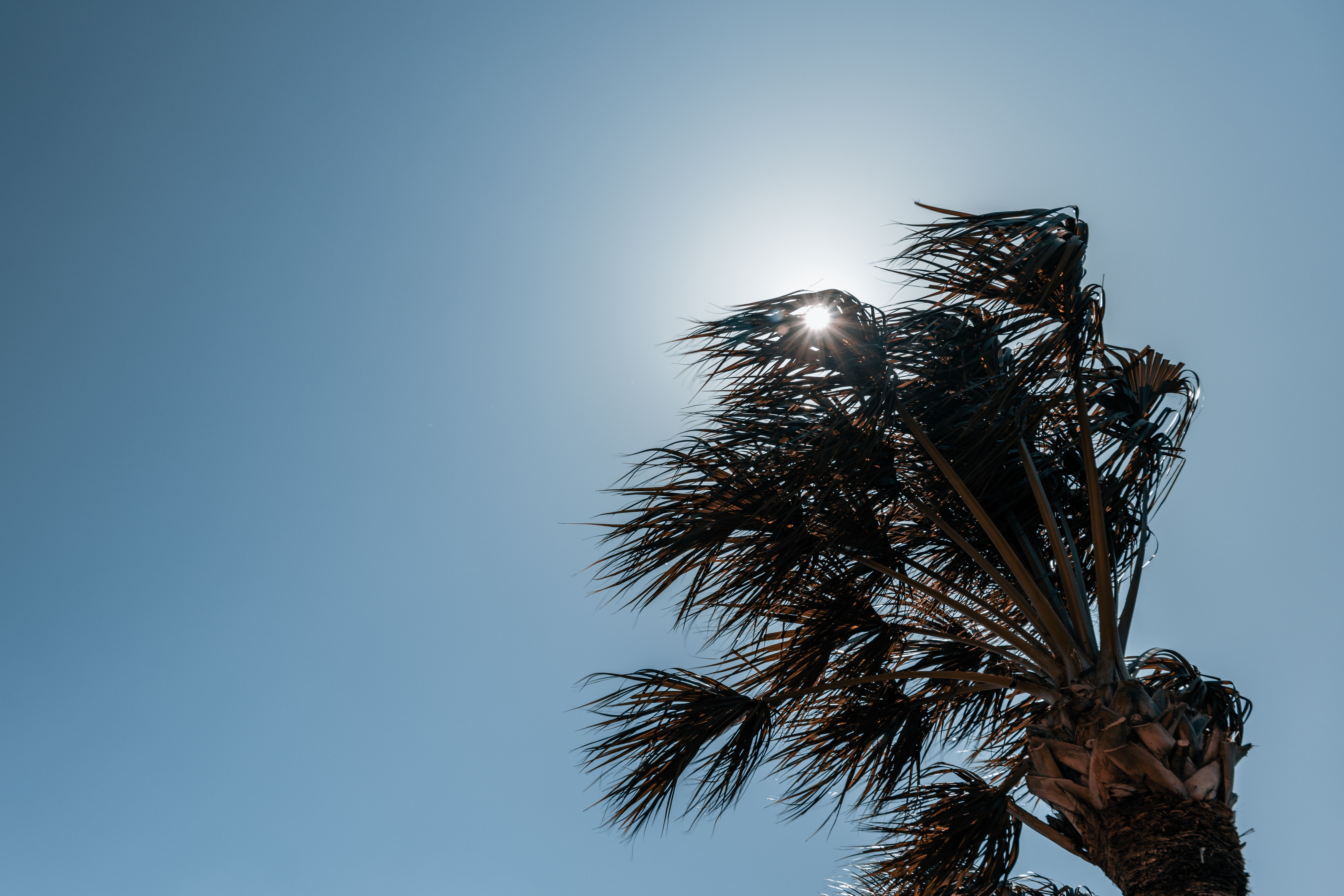 DeSoto County, Florida