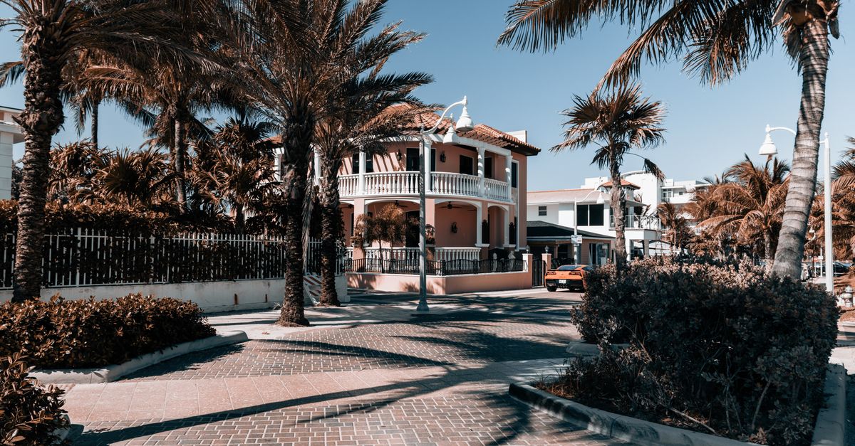 Charming tropical house surrounded by palm trees on a sunny street in Hollywood, Florida.