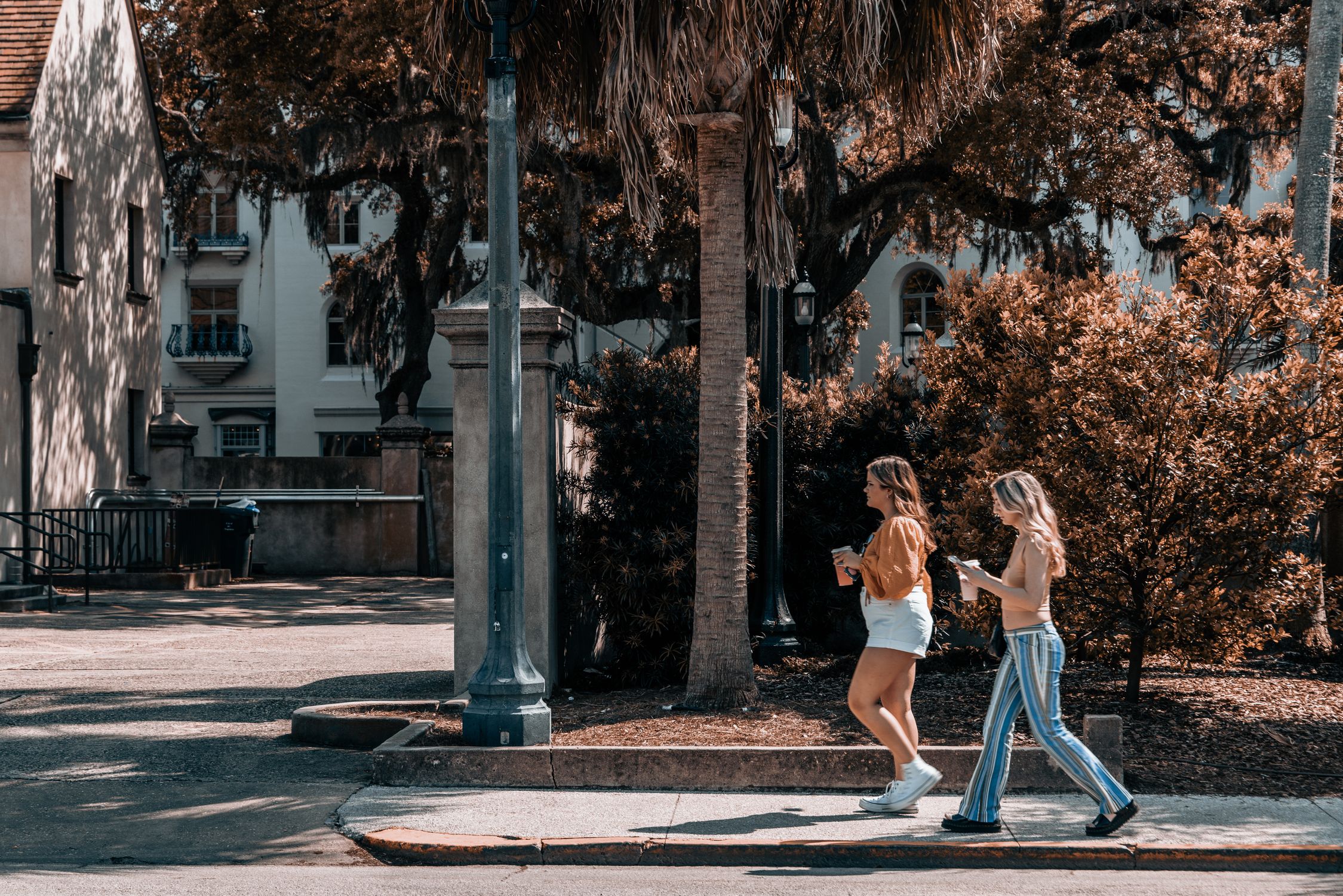 Casual stroll in an urban park surrounded by trees and classic architecture.