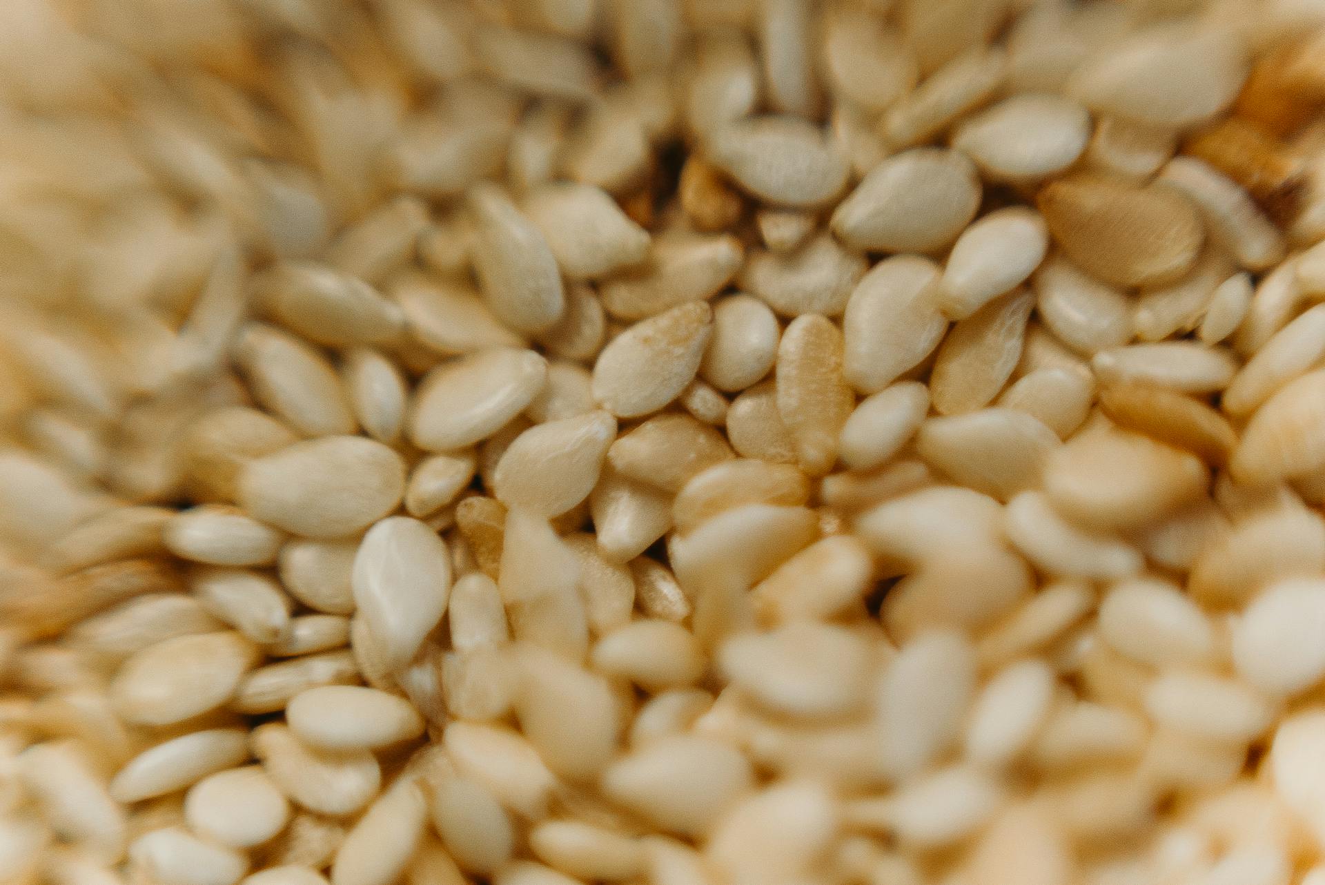 Close-Up View Of Seeds