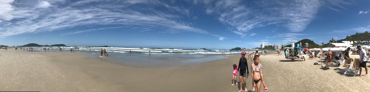 Raw chicken marinating in a bowl with lemon, garlic, and herbs