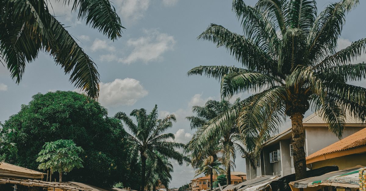 The Gambia: agriculture CSR advancing fair value chains and rural training The Gambia: agriculture CSR advancing fair value chains and rural training