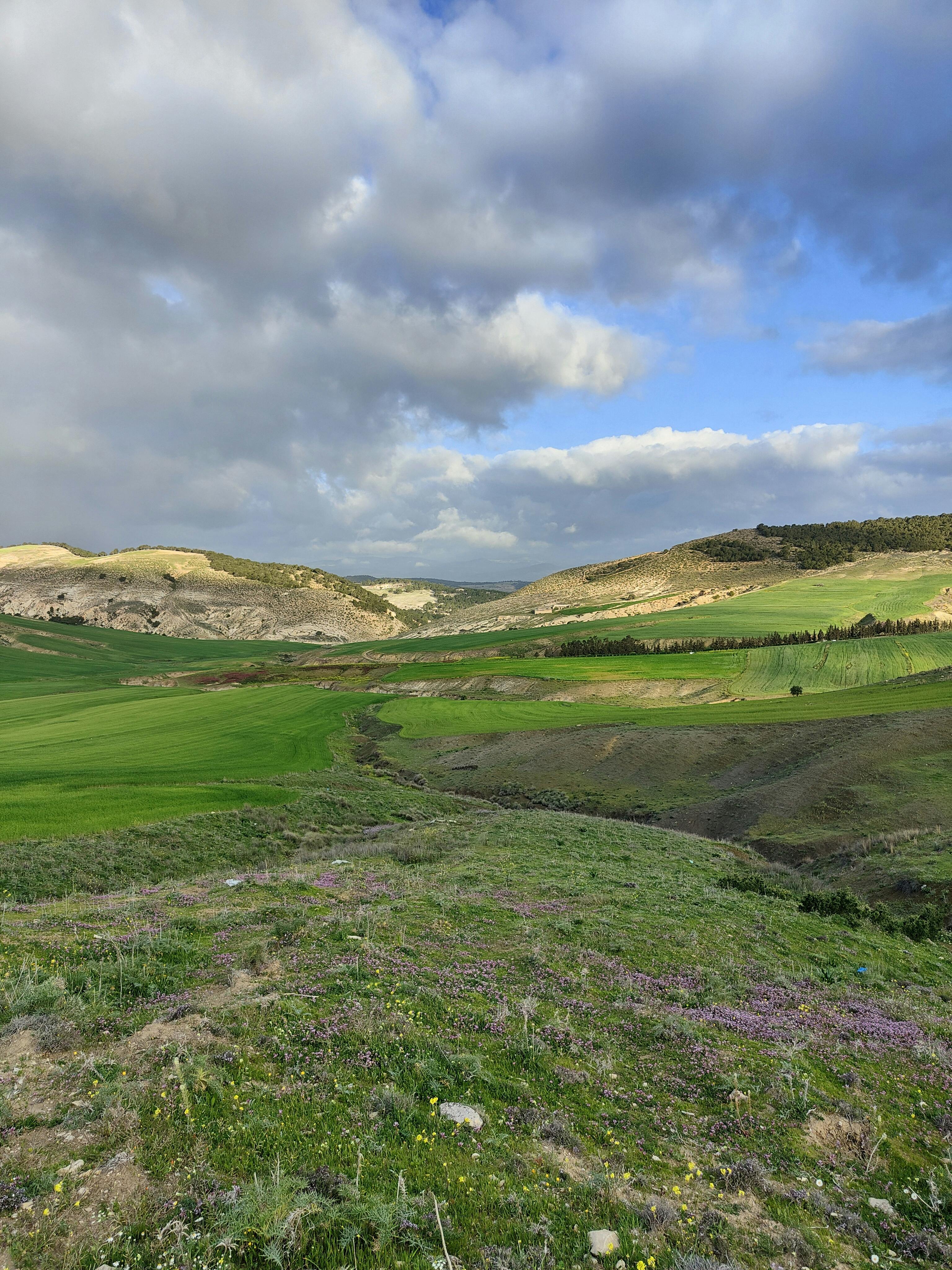 Akdeniz plajları, flamingolar
