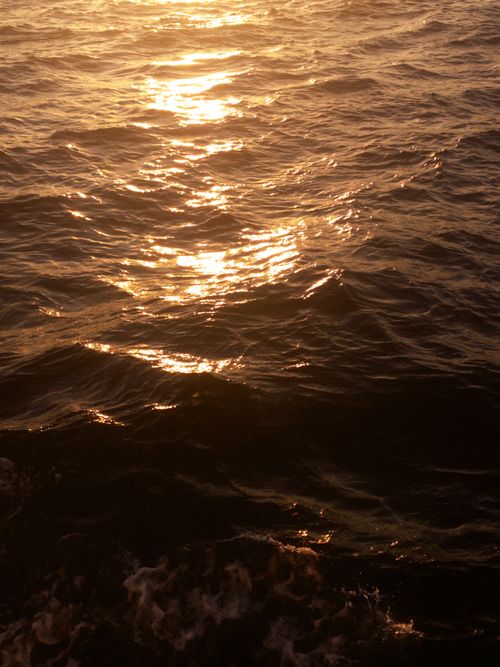 Free Beautiful sunlight reflecting on the rippling Marmara Sea during sunset in Istanbul. Stock Photo