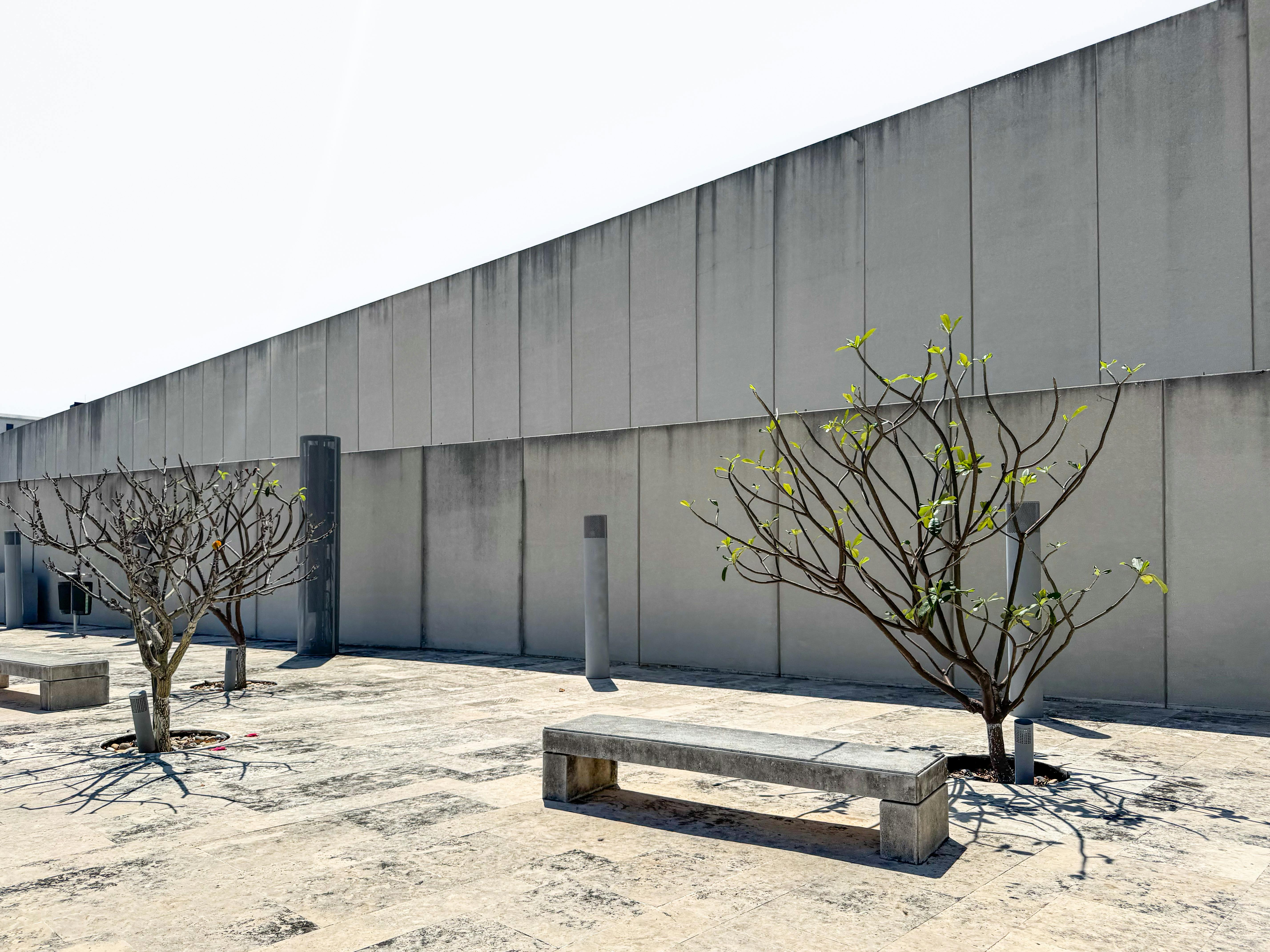 minimalist urban courtyard with clean lines and functional zones - modern urban garden design ideas