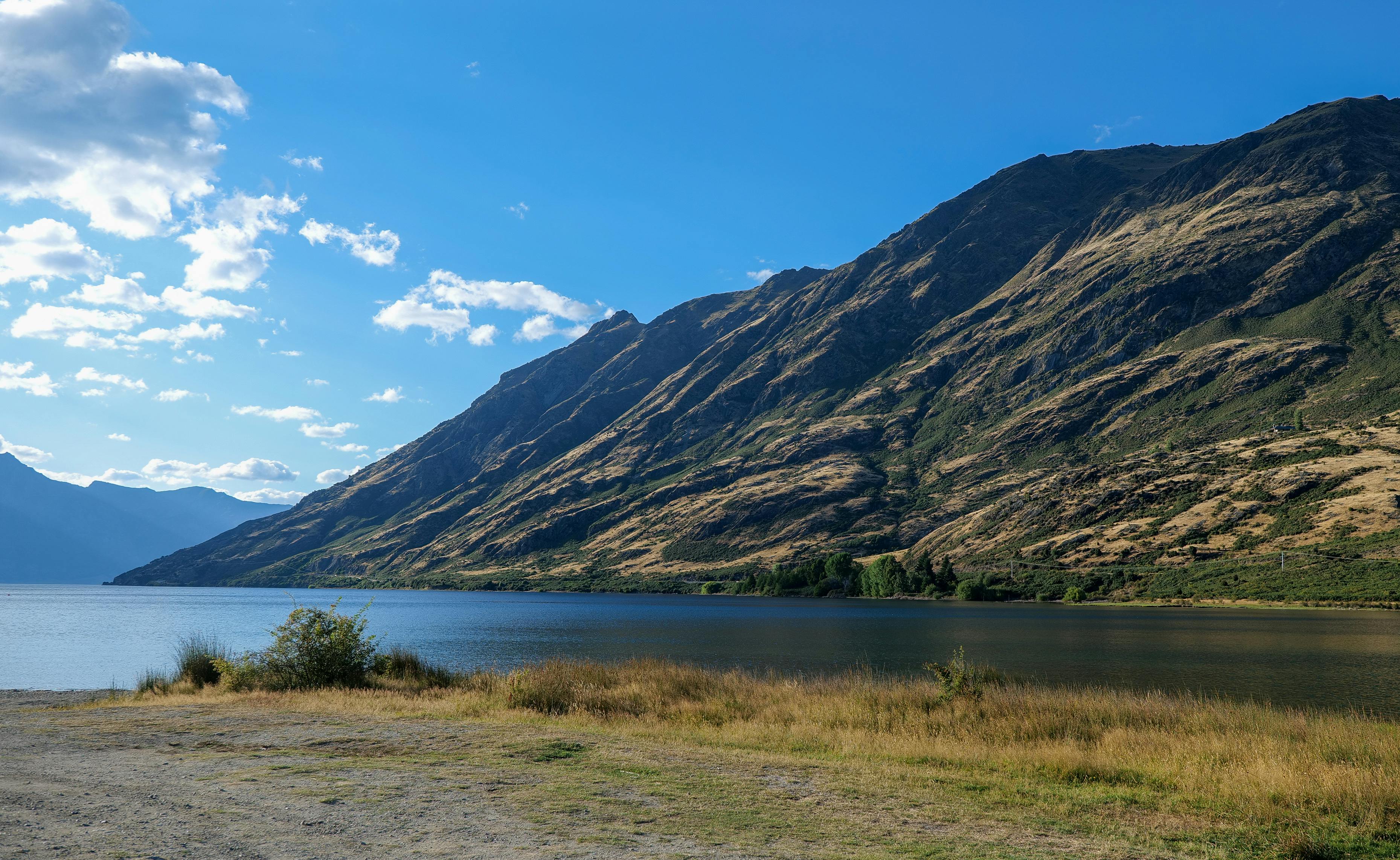 general travel new zealand tours — Photo by Mark Direen on Pexels