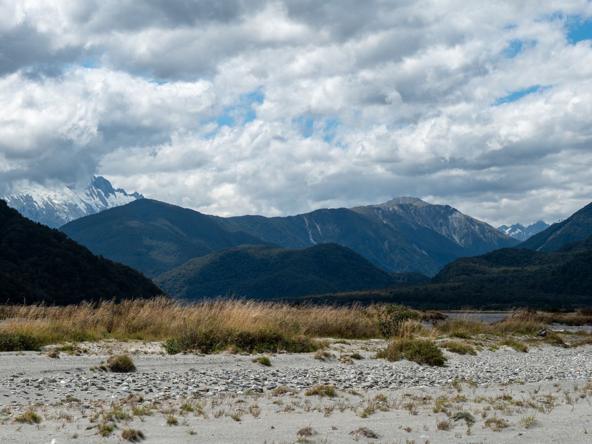 16 Day Eco-Adventure Surf n' Stay Retreat in Te Arai, New Zealand 2