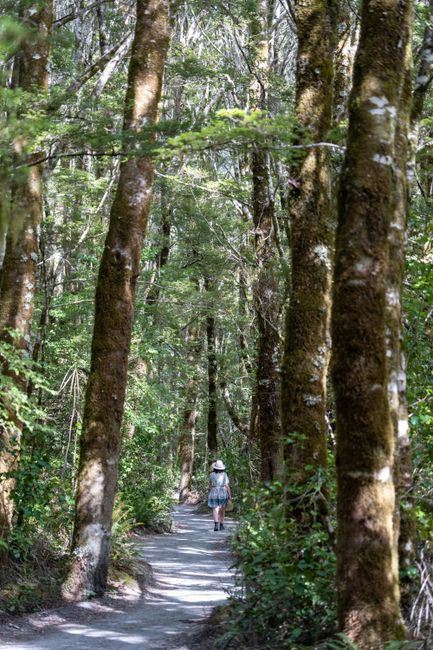 Why Choose New Zealand for Your Wellness Retreat? Why Choose New Zealand for Your Wellness Retreat?