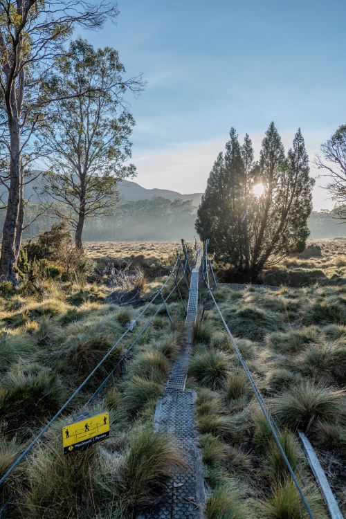 Free A tranquil suspension bridge on a misty morning hike in Tasmania, Australia. Stock Photo