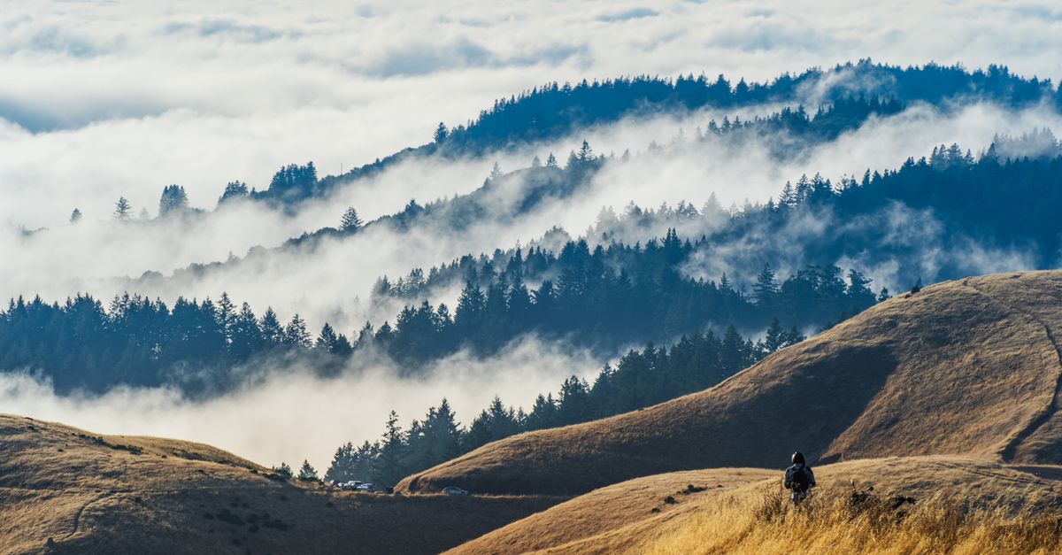 Hidden Discounts: How to Find Affordable Travel Offers