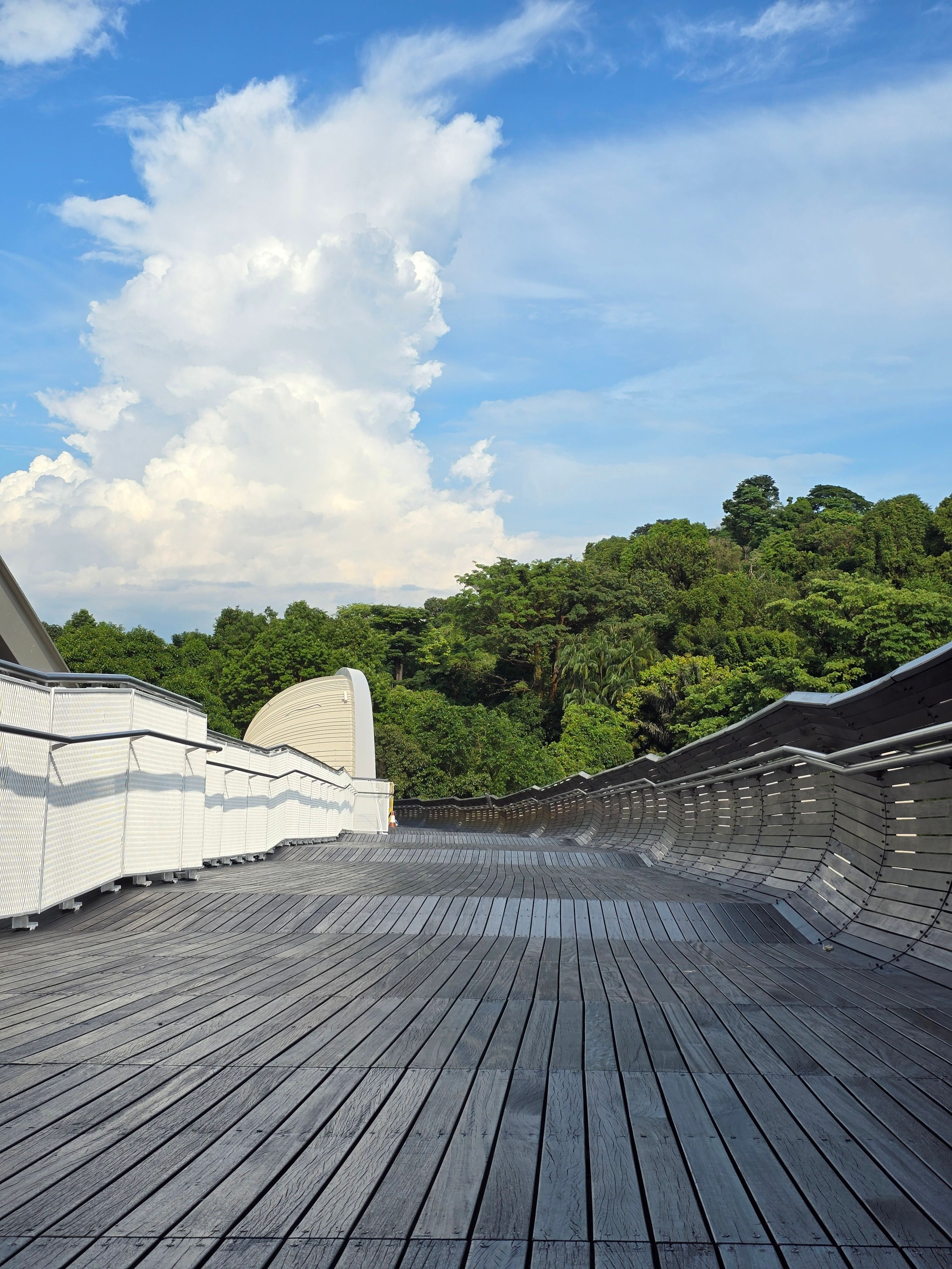 Henderson Waves pedestrian bridge curving through tropical greenery along Singapore's Southern Ridges trail