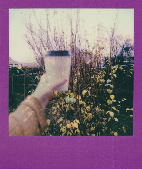 Double exposure of a hand holding coffee in a garden with a purple frame.