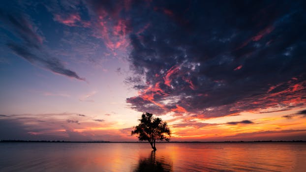 Breathtaking sunset over a calm lake with a single tree silhouette, creating a vibrant, peaceful atmosphere.