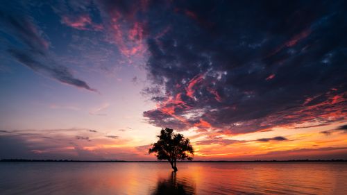 Free Breathtaking sunset over a calm lake with a single tree silhouette, creating a vibrant, peaceful atmosphere. Stock Photo