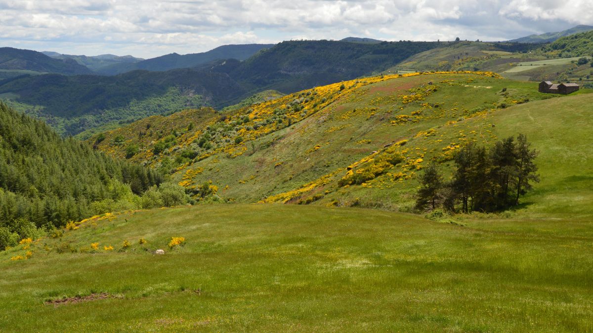 Randonnée massif de lAigoual Gard plateau des Bondons megalithes