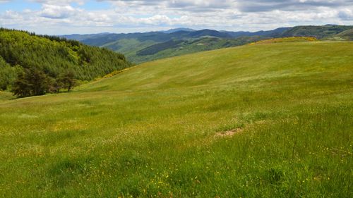 Free Beautiful green hills and distant mountains in Barre-des-Cévennes, Occitanie, France. Stock Photo