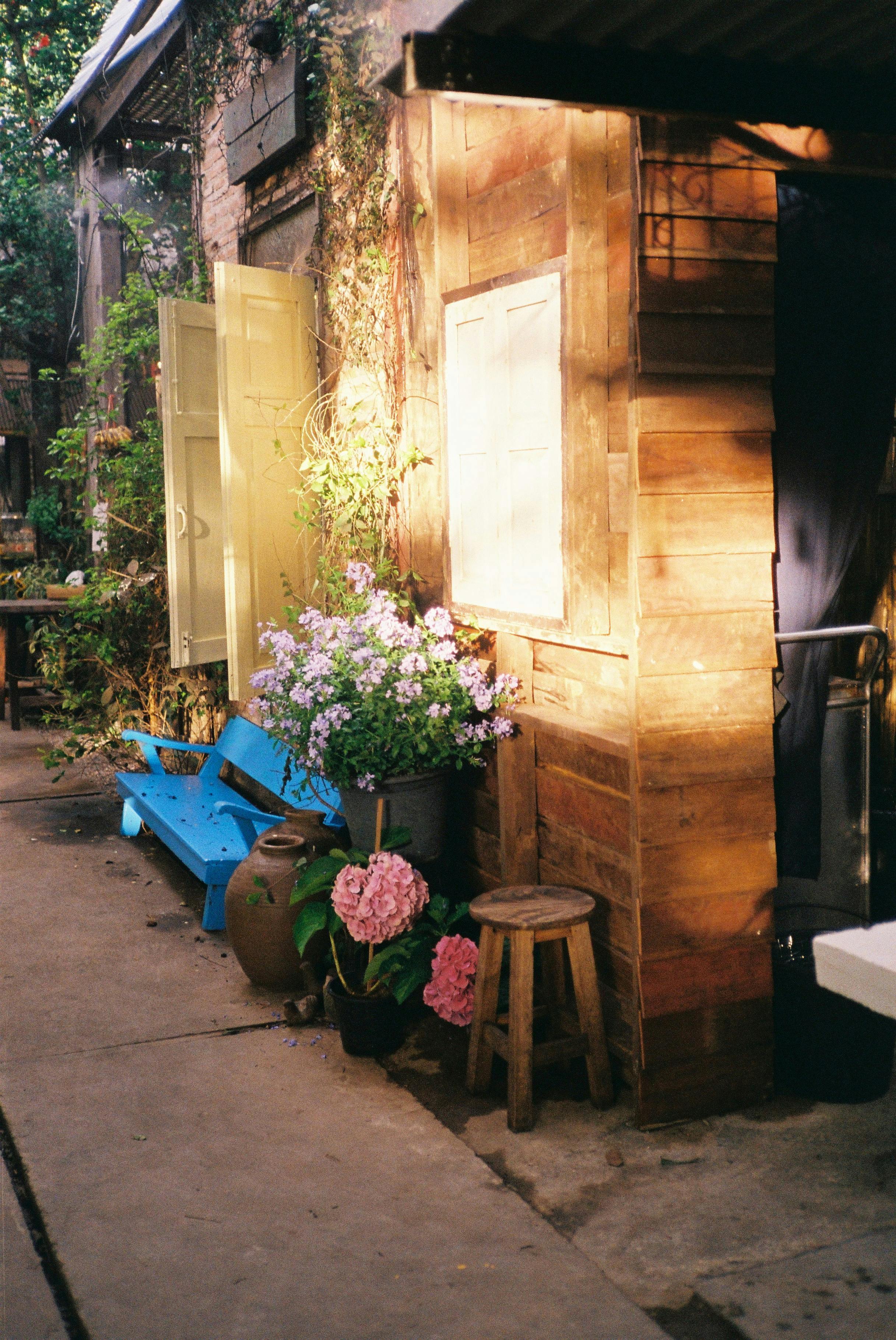 Sunlit wooden corner with vibrant flowers, creating a serene outdoor oasis.