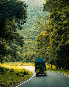 A vehicle travels through a winding forest road, showcasing lush greenery and serene surroundings.