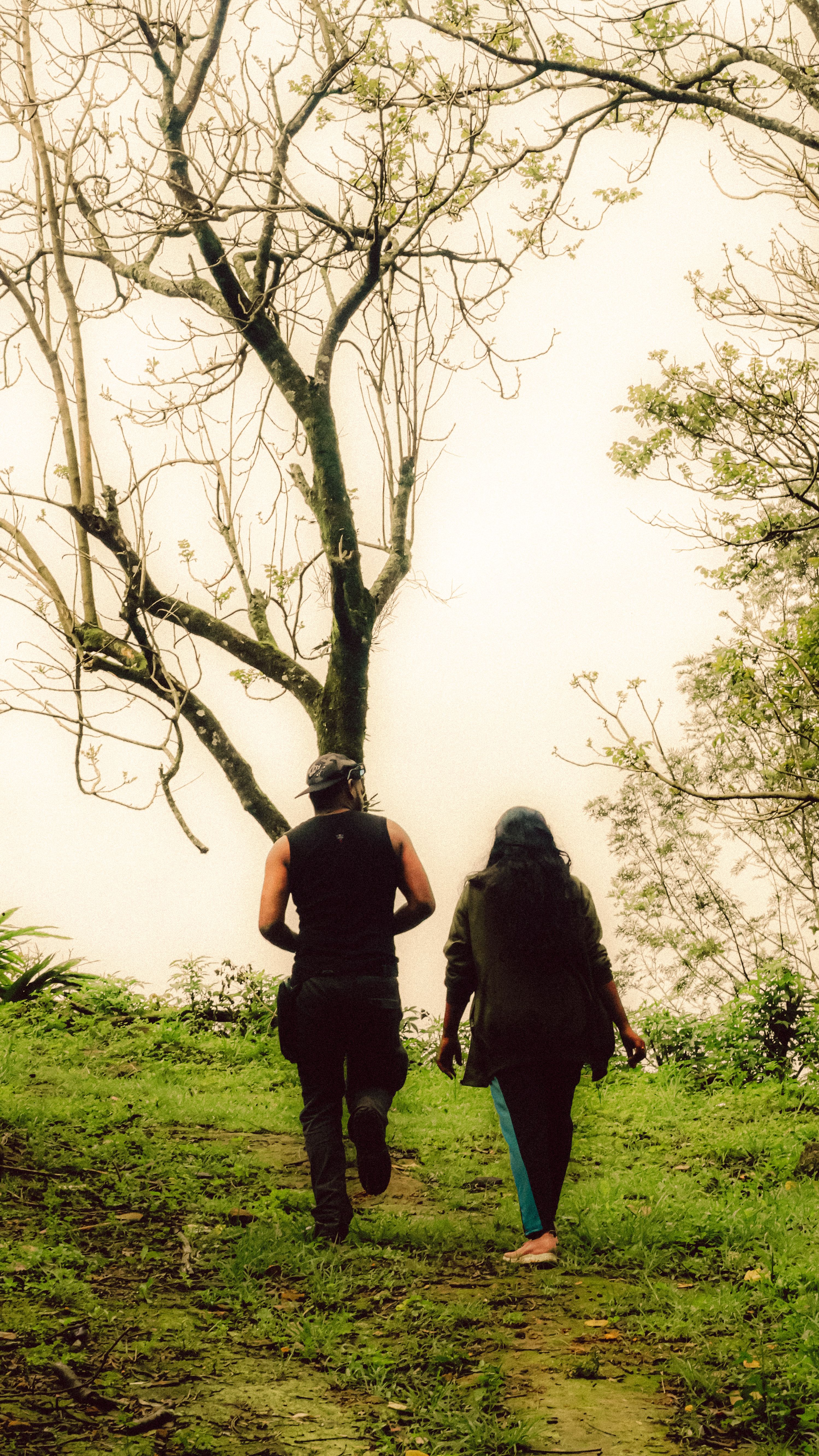 Two people walk together along a misty forest path in early morning light.