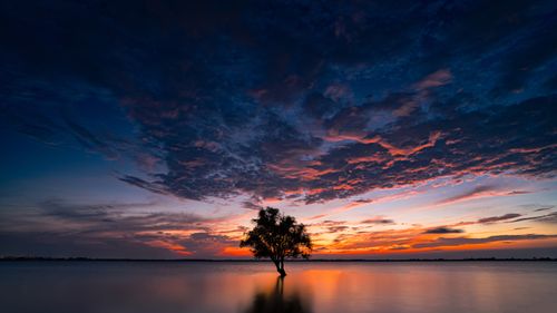 Free A lone tree stands in calm water under vibrant sunset skies, creating a serene and dramatic scene. Stock Photo
