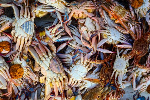 Colorful pile of freshly caught crabs showcasing a variety of species in vivid detail.