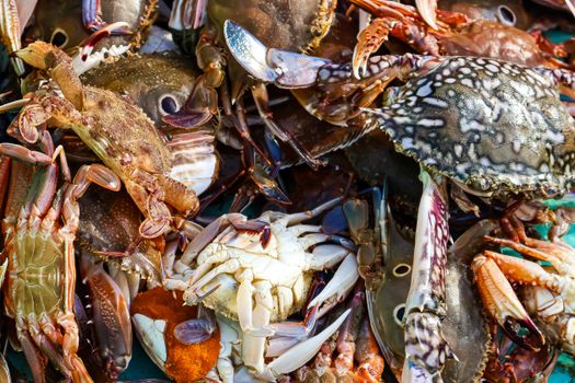 Close-up of diverse fresh crabs at a seafood market displaying vibrant colors and textures.