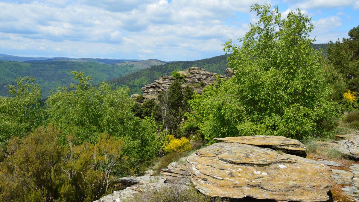 Les meilleurs itinéraires de randonnée en itinérance douce dans les Cévennes