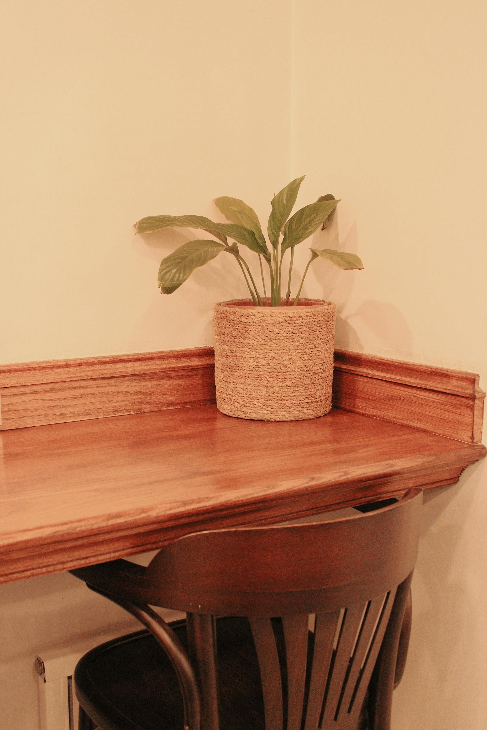 Free A cozy indoor corner featuring a wooden desk and a potted plant on top, perfect for serene home decor. Stock Photo