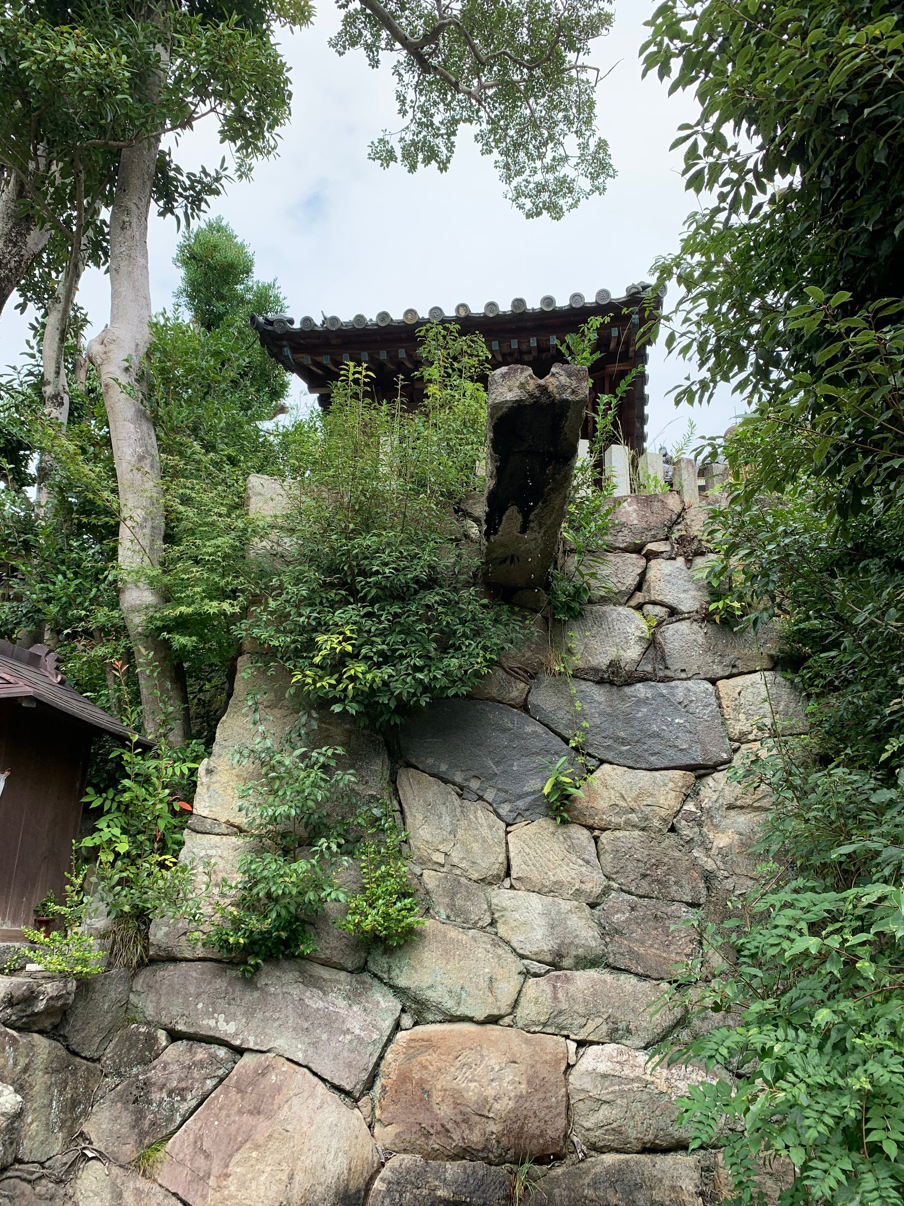 A scenic view of a traditional pagoda on a historic stone wall surrounded by lush greenery in Nara, Japan.