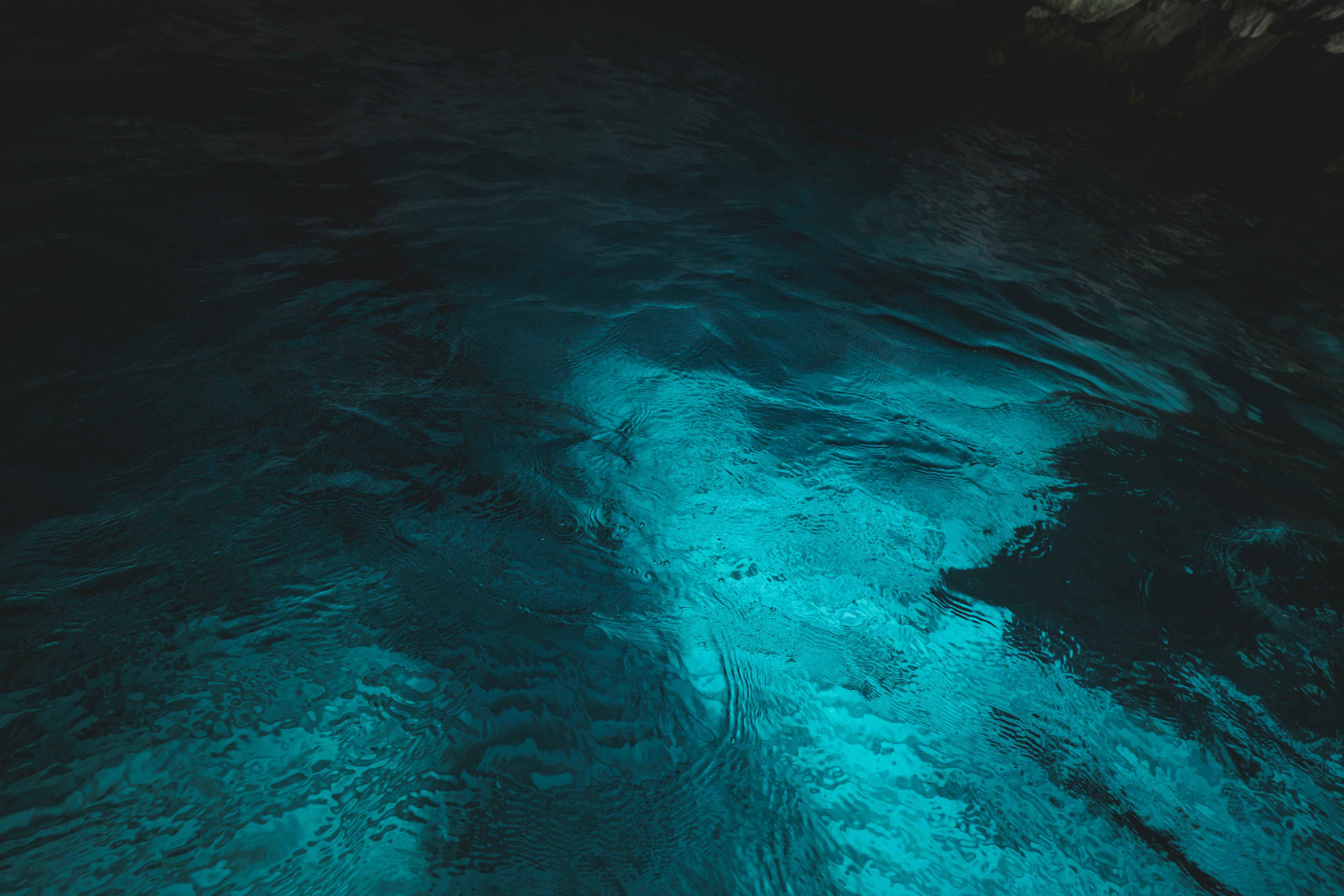 Enchanting Melodies and Musical Potions