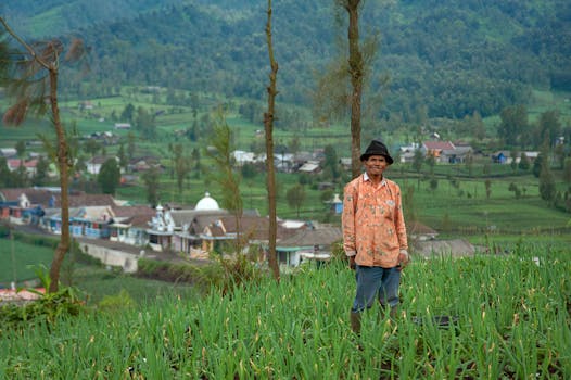 Photo by Vincent Tan A rural farmer stands in a lush green field with a village backdrop and mountains.