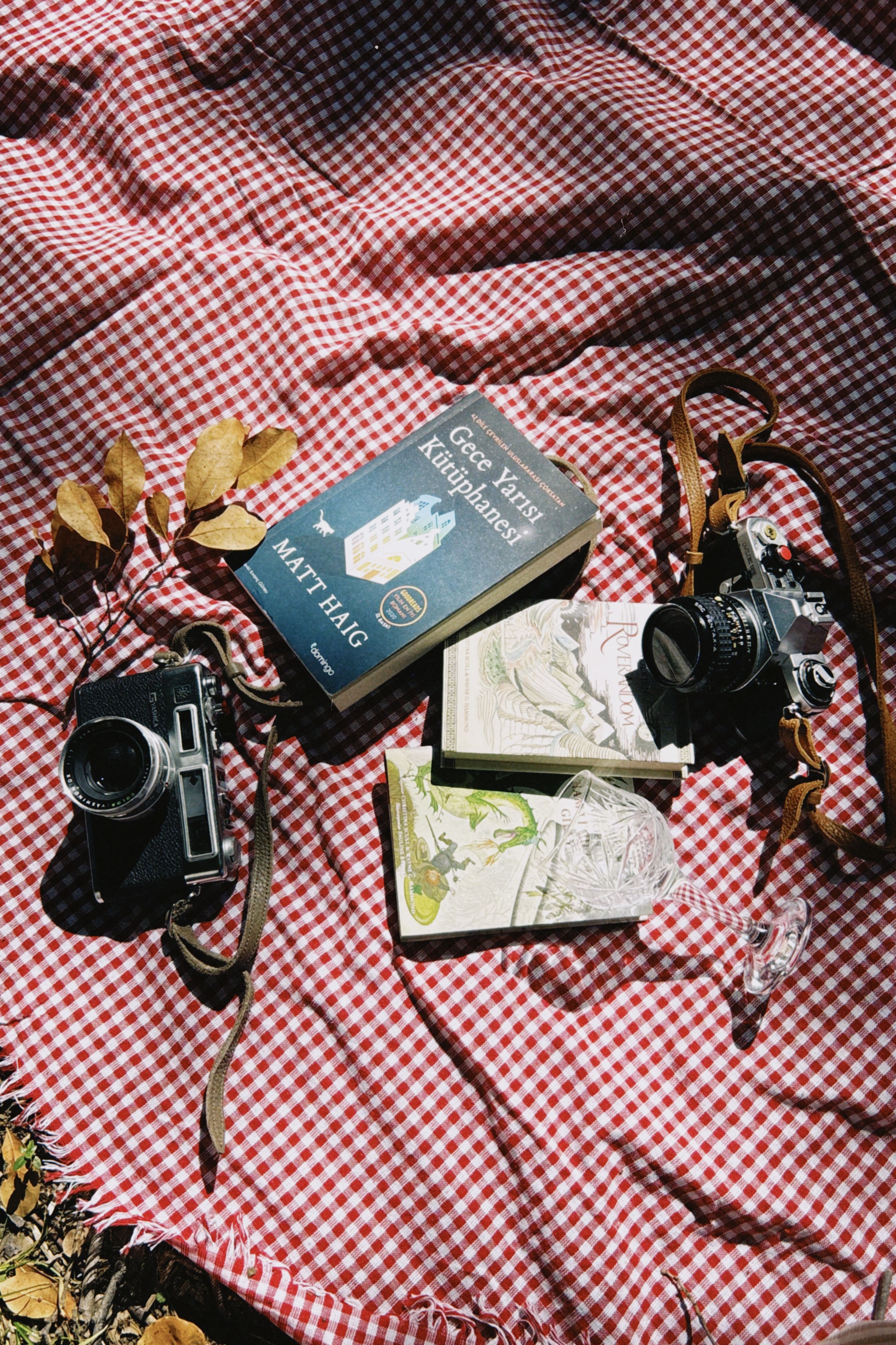 Two vintage cameras and books on a red checkered picnic blanket outdoors with leaves.