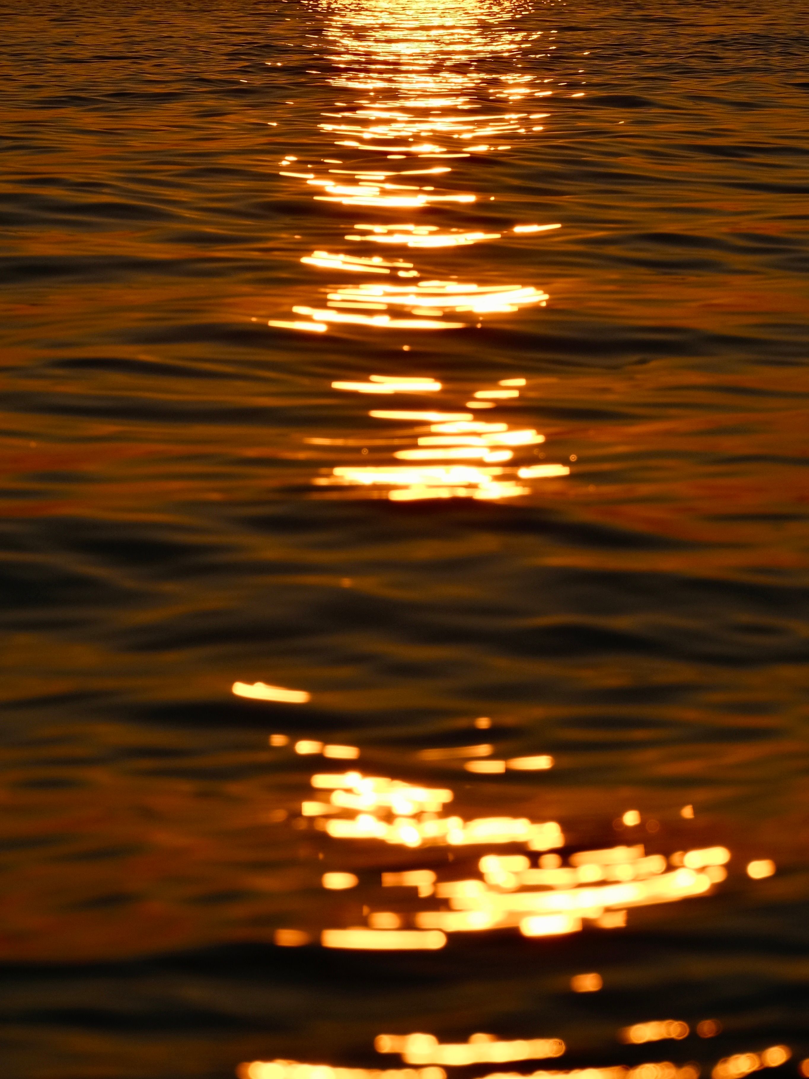 Golden Sunlight Reflecting on Calm Water Surface · Free Stock Photo