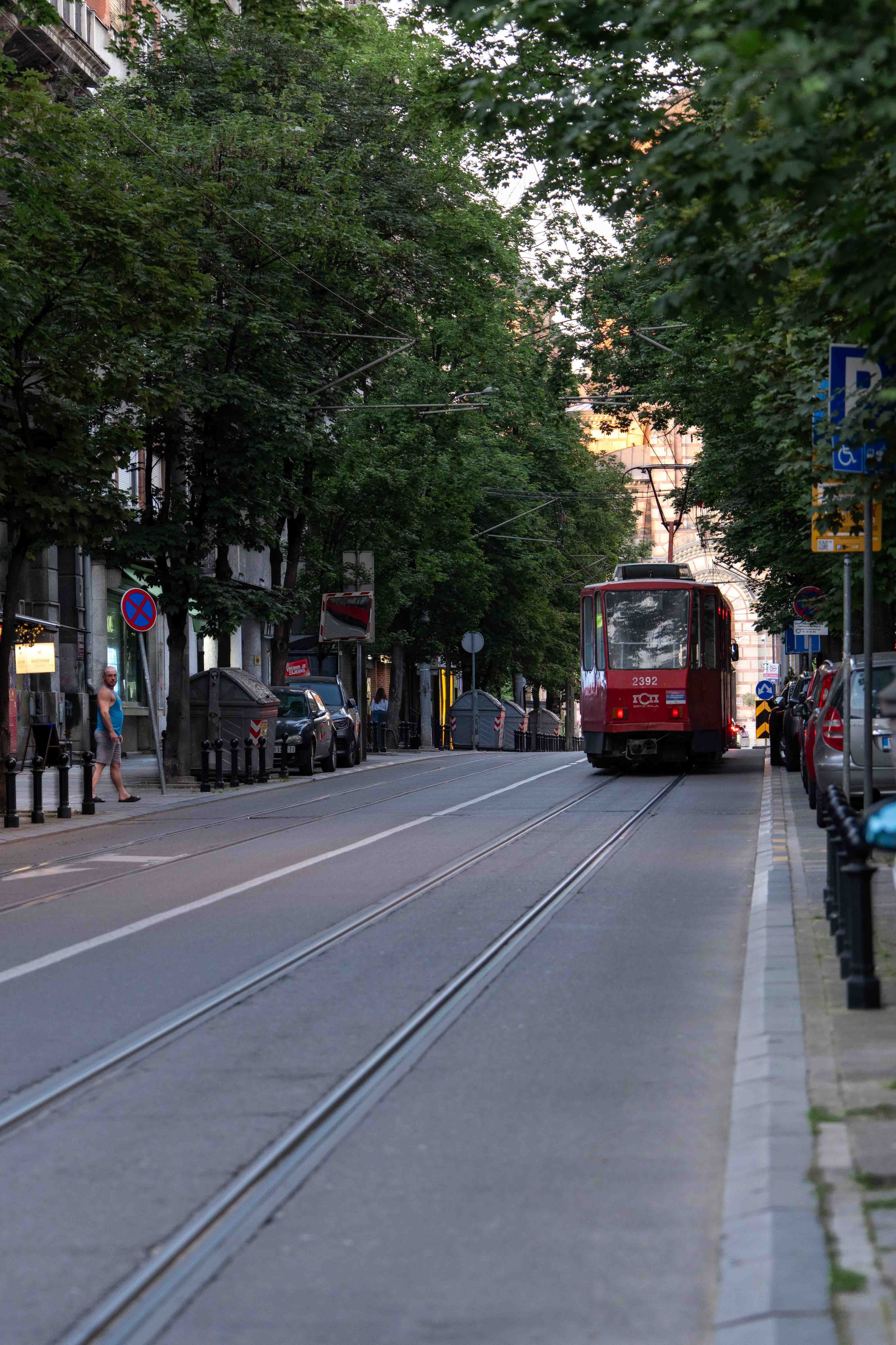 Red Tram on City Street in Summer Evening · Free Stock Photo