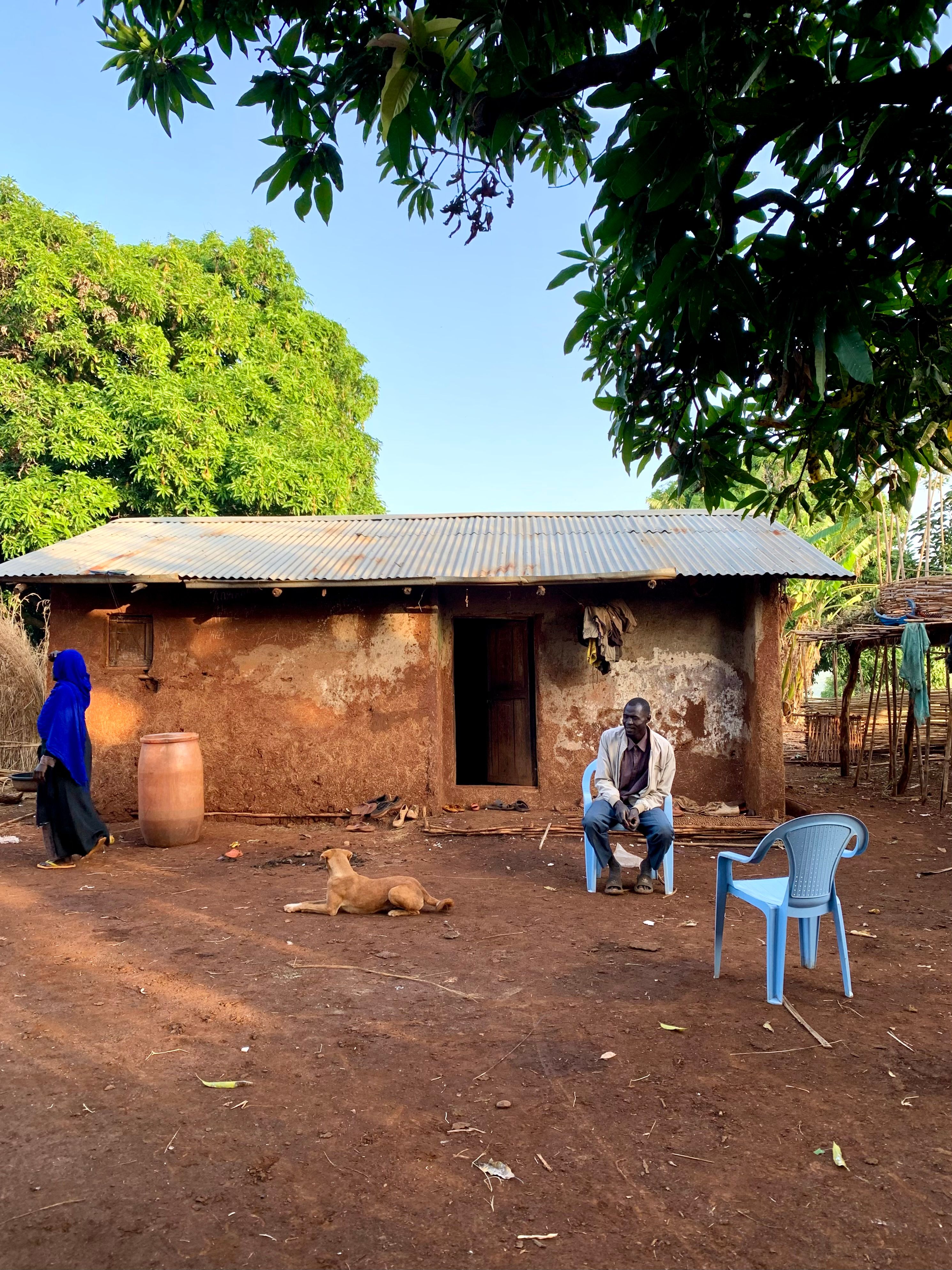 Rural Life in Traditional African Homestead · Free Stock Photo