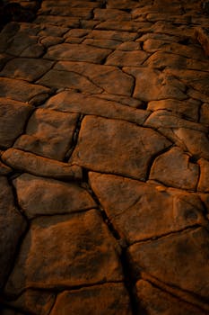 Textured rock surface illuminated during golden hour at Sunshine Coast, Australia.