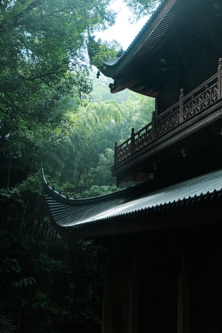 A traditional oriental temple roof amidst dense forest greenery, evoking serenity and mystique.