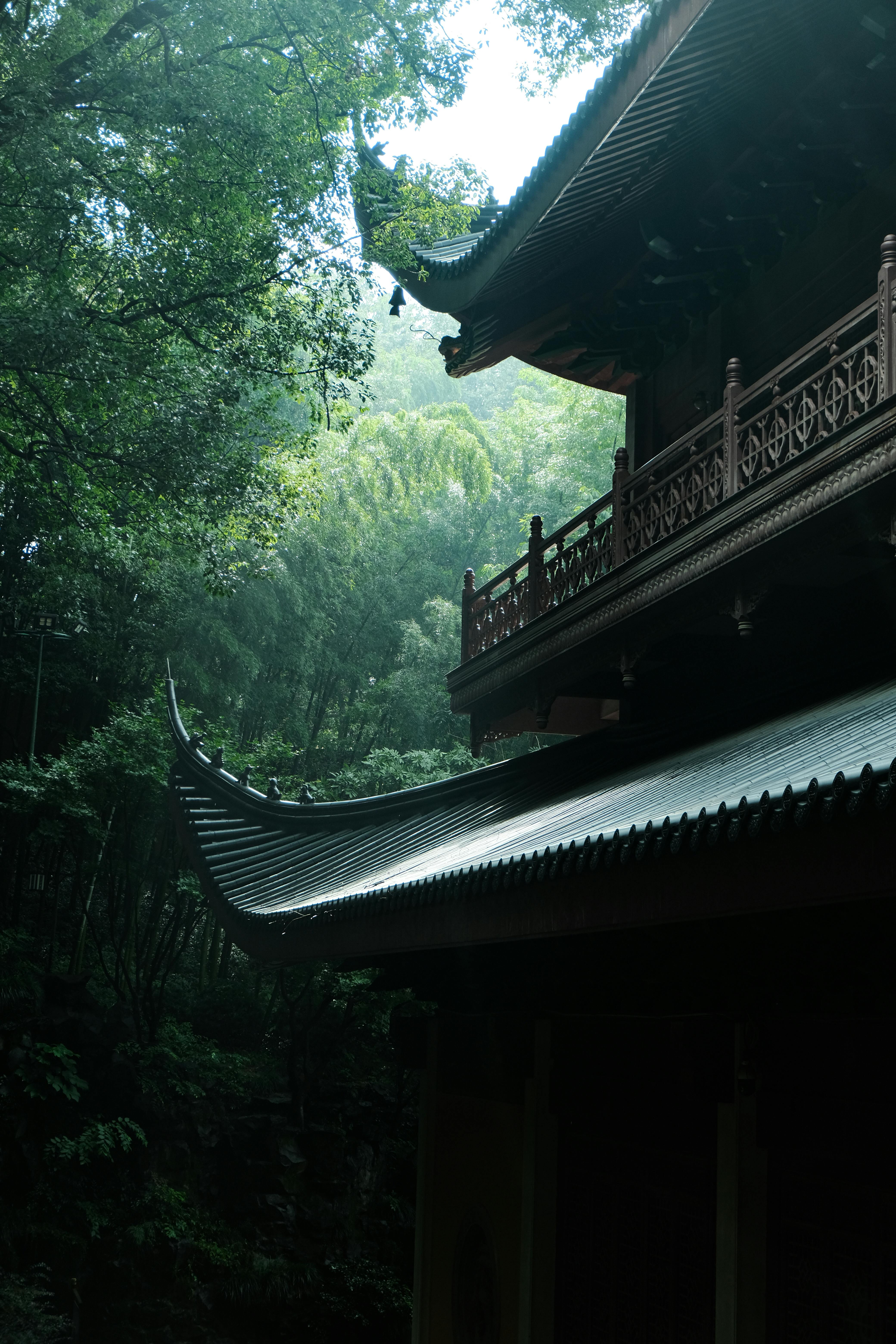 Kostenlos Ein traditionelles orientalisches Tempeldach inmitten dichtem Waldgrün, das Ruhe und Mystik ausstrahlt. Stock-Foto