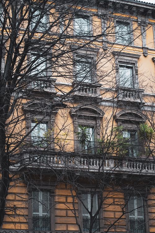 Free Detailed view of elegant Milanese architecture with bare winter trees in the foreground. Stock Photo