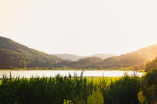Free Serene landscape of lush green mountains and lake in summer, Bolu, Türkiye. Stock Photo