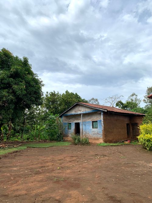 Free A rustic rural house surrounded by lush greenery under a cloudy sky. Stock Photo