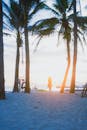 Serene Beach Sunset with Palm Trees and Bicycles