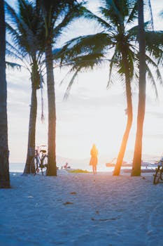 A person walking on a sandy beach at sunset, surrounded by palm trees and bicycles.