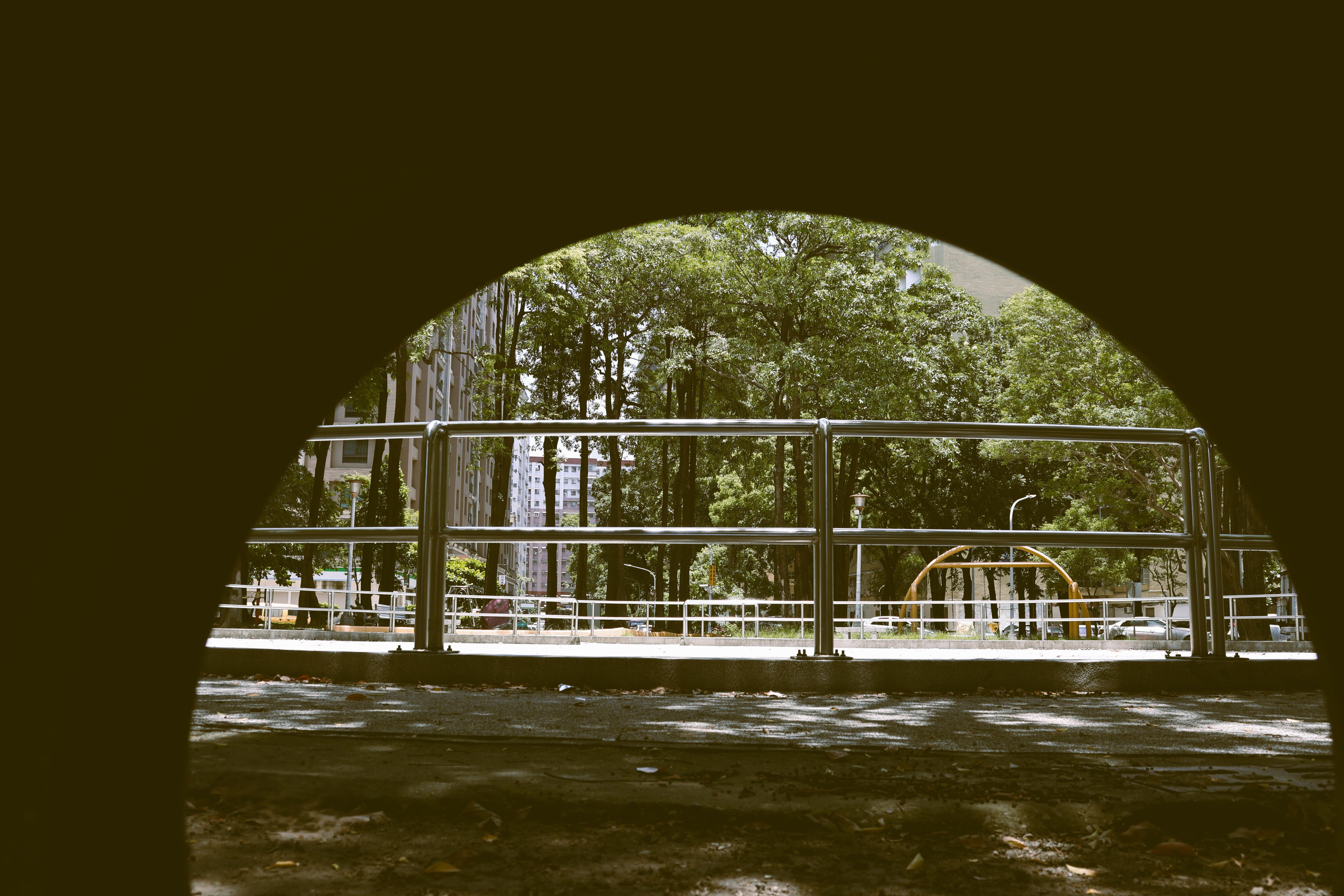 Écologie urbaine - illustration