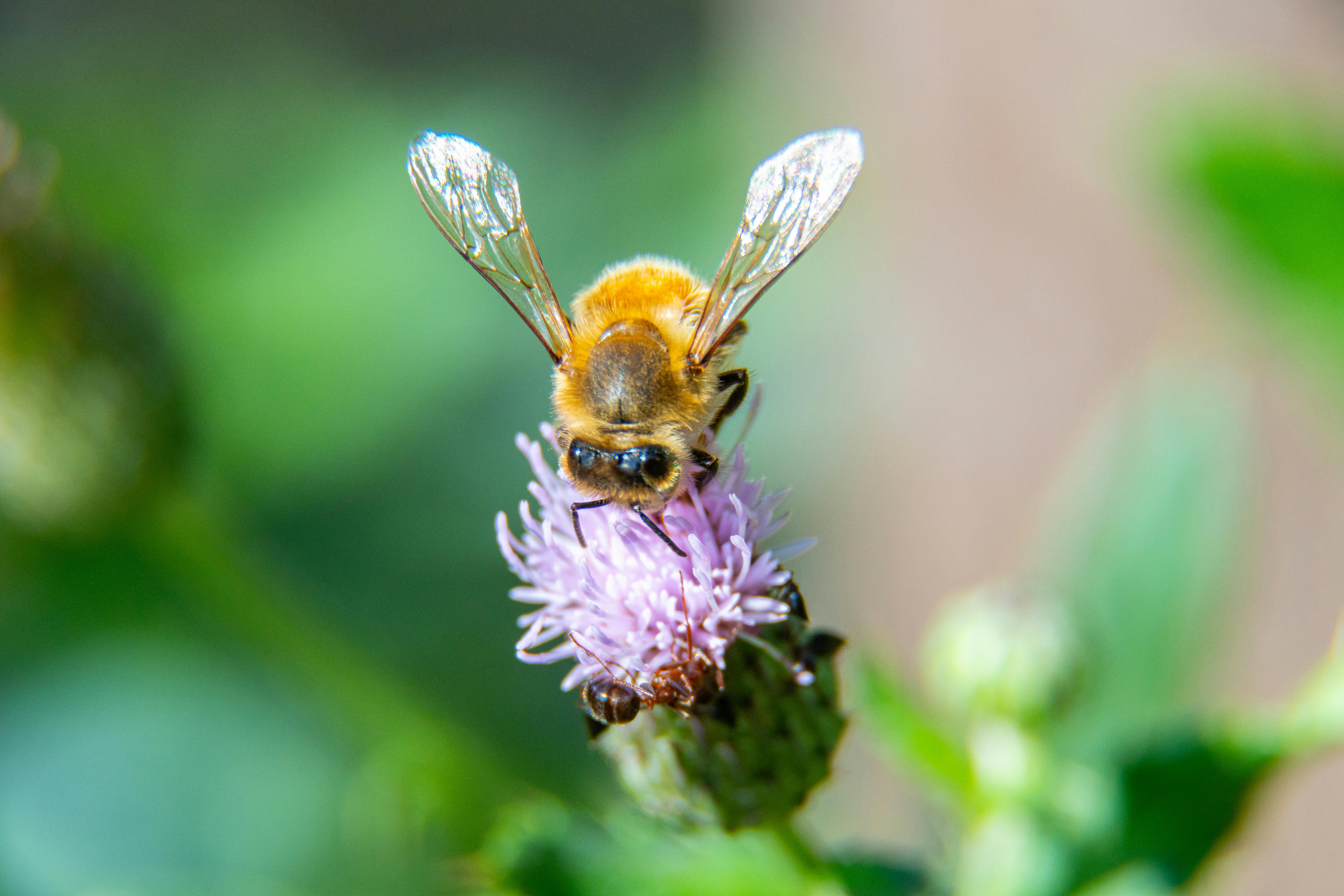 Ark Valley Civics Bee Competition to Send Three Local Students to State — Photo by Jay Brand on Pexels