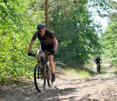Two cyclists enjoy a sunny day biking through a natural forest trail.