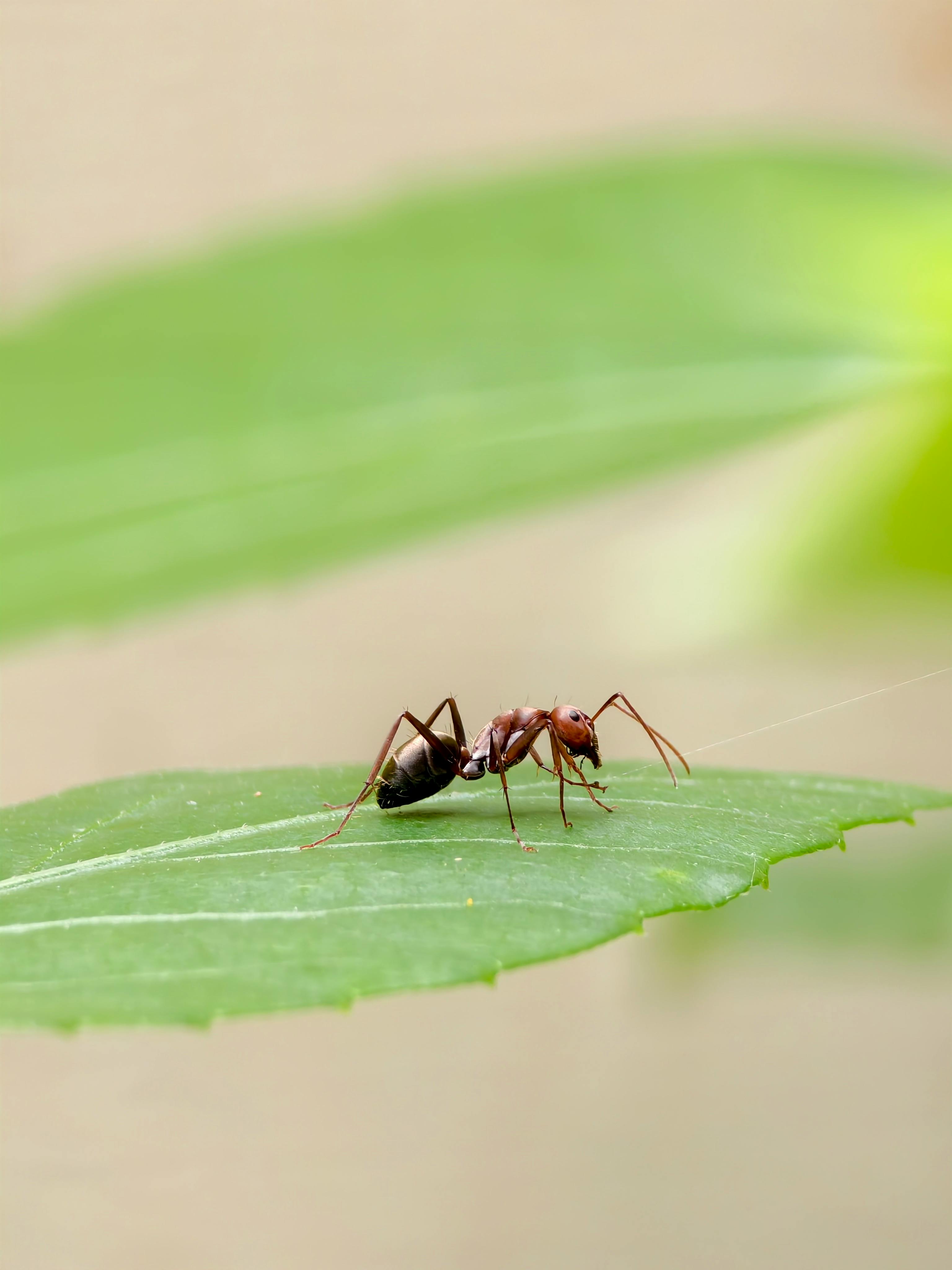 응용 분야 사례 이미지